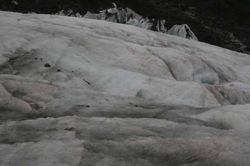 Nieuw-Zeeland 2011 - 1436